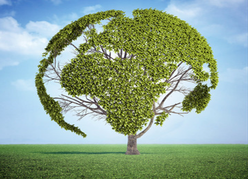 no-dia-mundial-do-meio-ambiente-2020-a-prefeitura-de-mostardas-convida-a-populacao-a-refletir