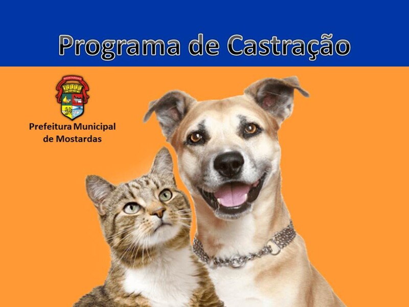 programa-de-castracao-de-caes-e-gatos